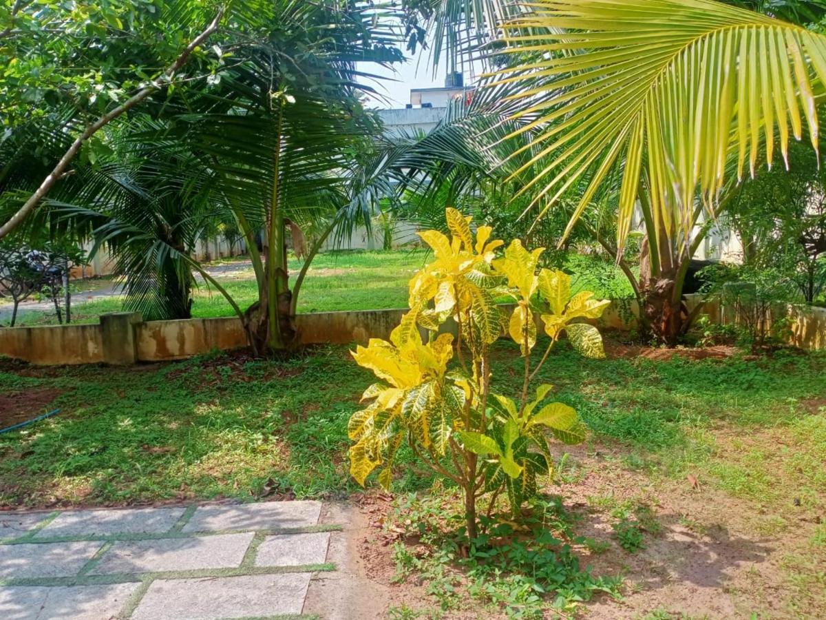 Sinai Homestay Alappuzha Bagian luar foto